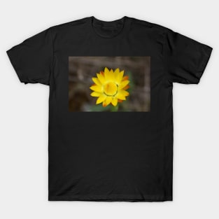 Native flower T-Shirt